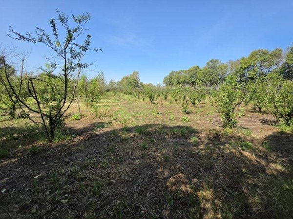 terreno edificabile in vendita a San Sperate