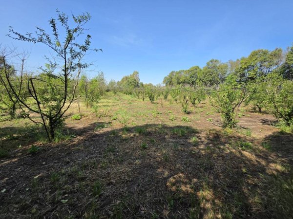 terreno edificabile in vendita a San Sperate