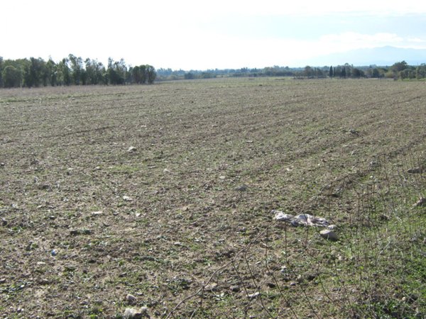 terreno in vendita a San Sperate