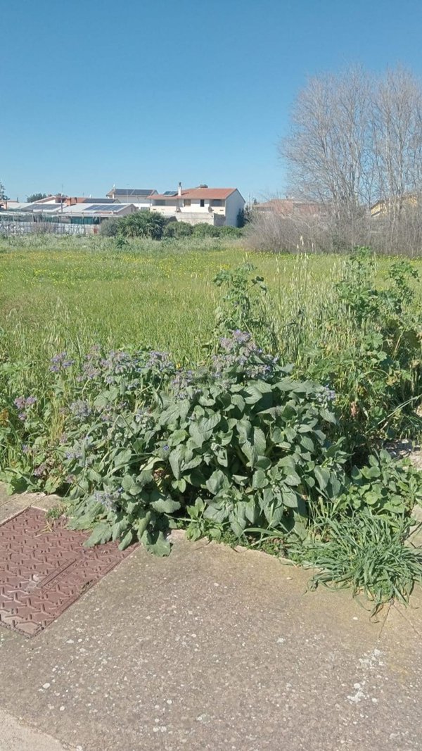 terreno in vendita a San Sperate