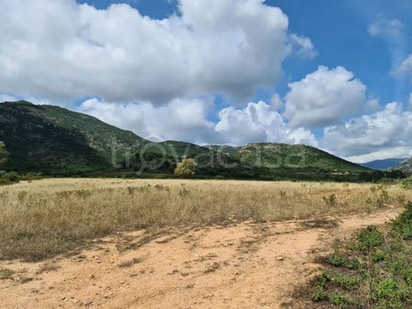 terreno agricolo in vendita a San Vito