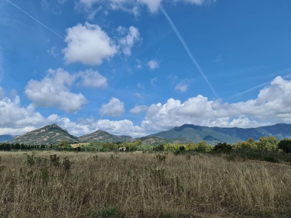 terreno agricolo in vendita a San Vito