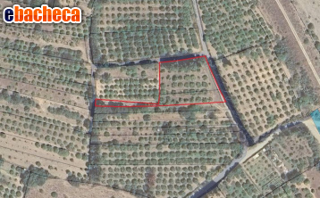 terreno agricolo in vendita a San Vito