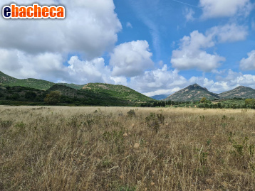 terreno agricolo in vendita a San Vito