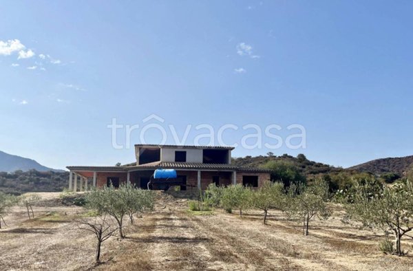 terreno agricolo in vendita a San Vito