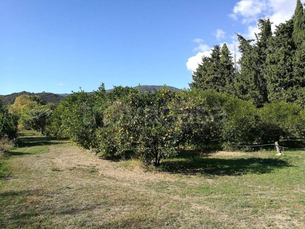 terreno agricolo in vendita a San Vito