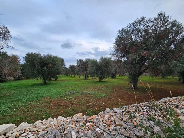 casa indipendente in vendita a San Vito
