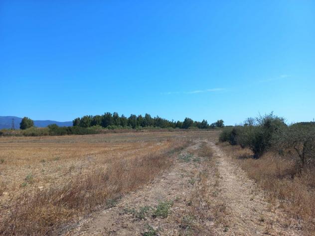 terreno agricolo in vendita a San Vito