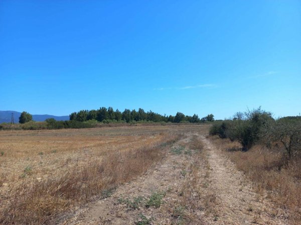 terreno agricolo in vendita a San Vito