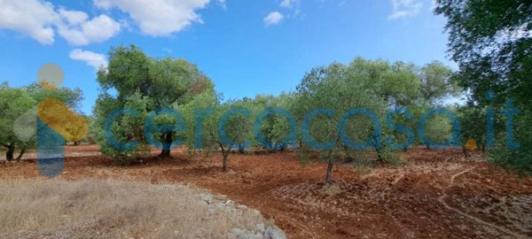 casa indipendente in vendita a San Vito