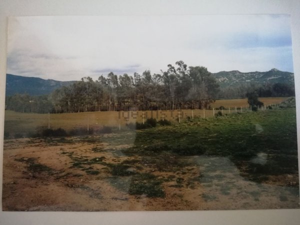 terreno agricolo in vendita a San Vito
