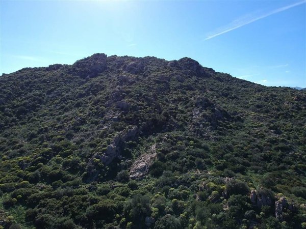terreno agricolo in vendita a San Vito