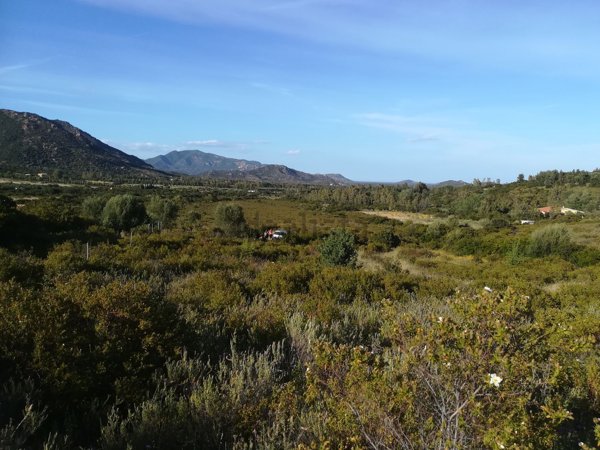 terreno agricolo in vendita a San Vito