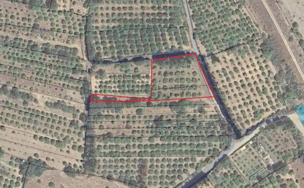 terreno agricolo in vendita a San Vito