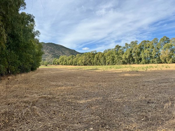 terreno agricolo in vendita a San Vito