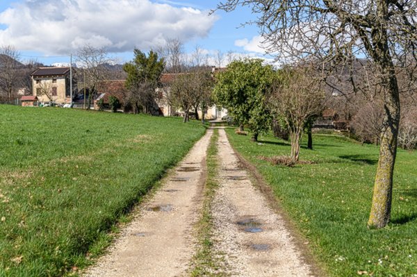 casa indipendente in vendita a San Vito