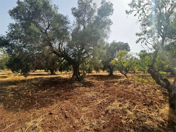 casa indipendente in vendita a San Vito