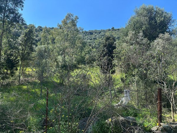 terreno agricolo in vendita a San Vito