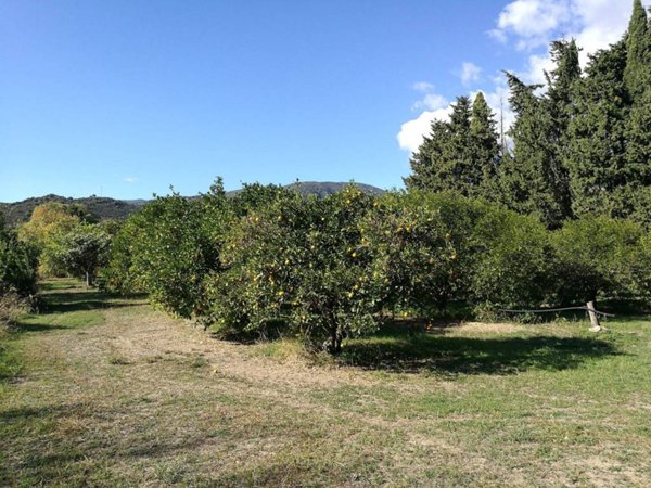 terreno agricolo in vendita a San Vito