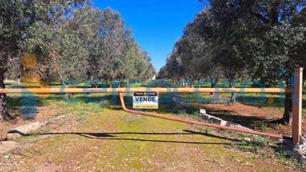 casa indipendente in vendita a San Vito