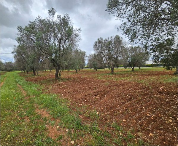 casa indipendente in vendita a San Vito
