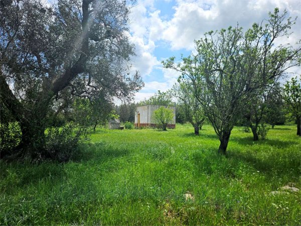 casa indipendente in vendita a San Vito