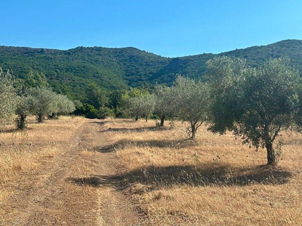 terreno agricolo in vendita a San Vito
