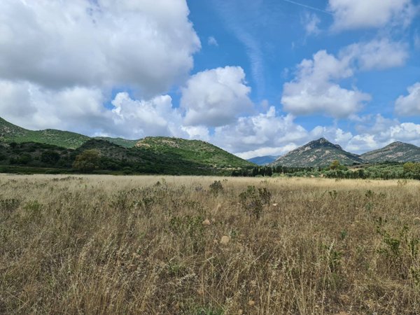 terreno agricolo in vendita a San Vito
