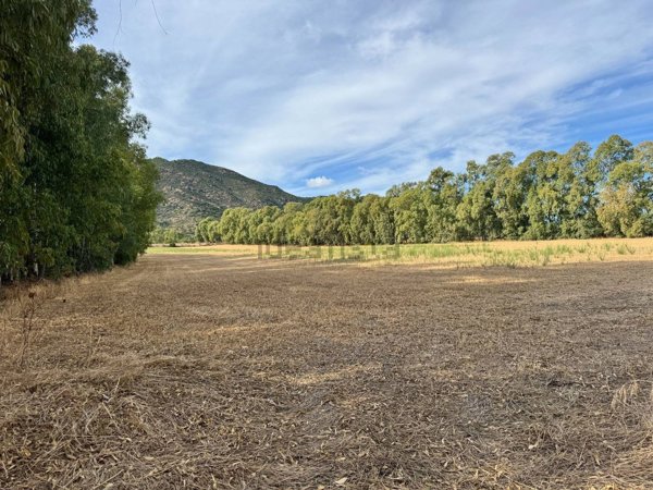 terreno in vendita a San Vito