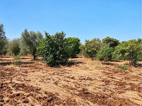 terreno in vendita a San Vito