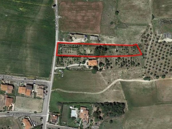 terreno agricolo in vendita a Sanluri