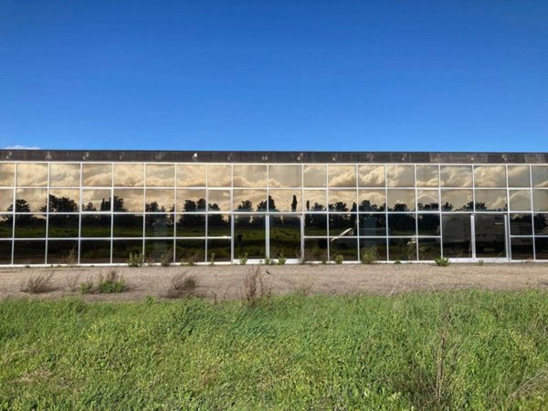 negozio in vendita a Sanluri