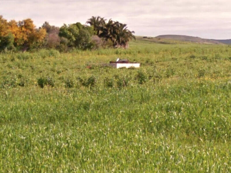 terreno agricolo in vendita a Sanluri