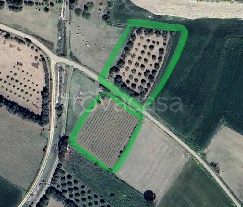 terreno agricolo in vendita a Sanluri