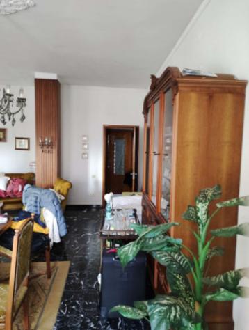 esavano in vendita a Sanluri