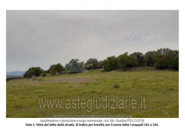 terreno agricolo in vendita a Sanluri