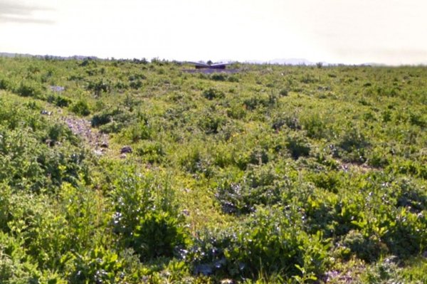 terreno in vendita a Sanluri