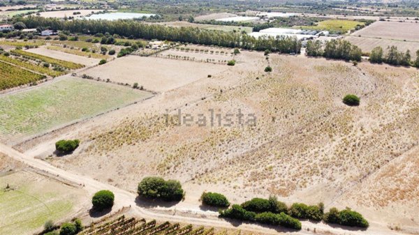 immagine annuncio 0 di 1