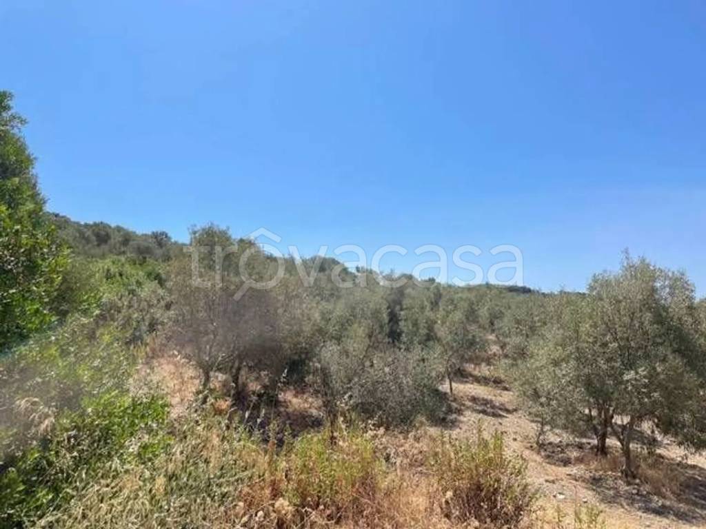 terreno agricolo in vendita a Sant'Anna Arresi