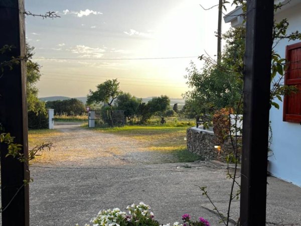 negozio in vendita a Sant'Anna Arresi