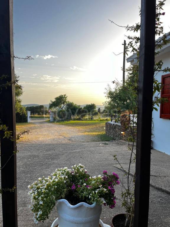negozio in vendita a Sant'Anna Arresi