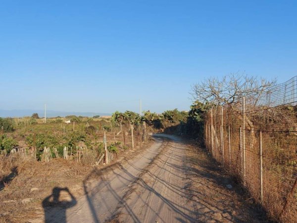 terreno agricolo in vendita a Sant'Antioco