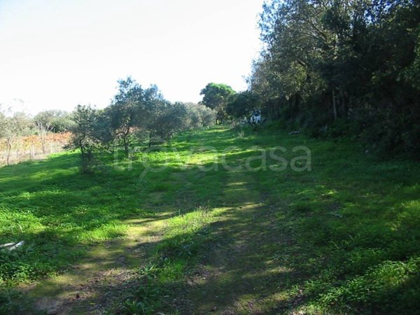 terreno agricolo in vendita a Sant'Antioco