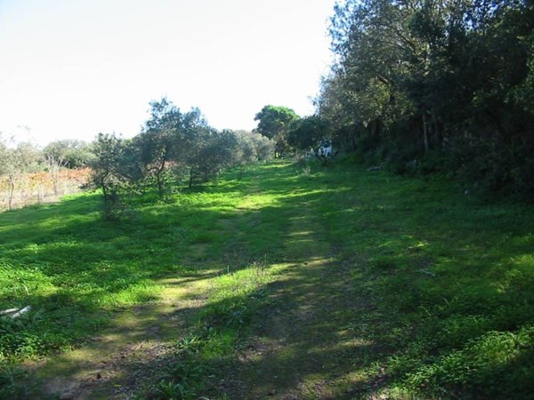 terreno agricolo in vendita a Sant'Antioco