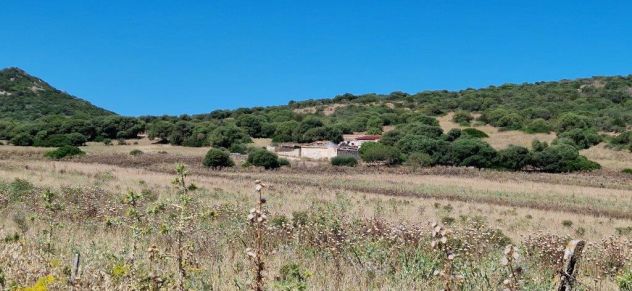 terreno agricolo in vendita a Sant'Antioco