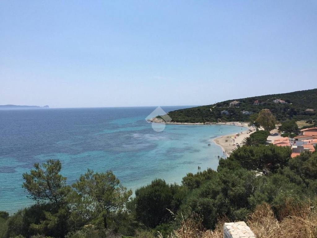 immagine annuncio 0 di 1