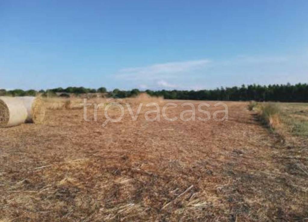 terreno agricolo in vendita a Sardara