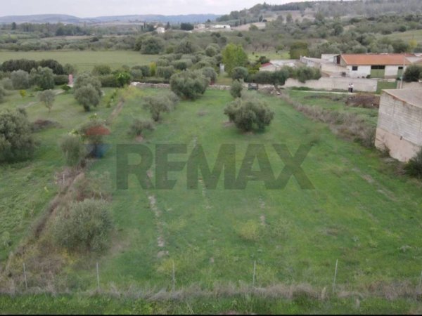 terreno agricolo in vendita a Senorbì in zona Arixi