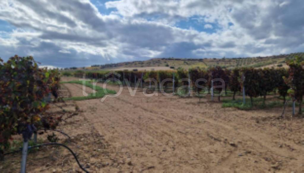 terreno agricolo in vendita a Serdiana