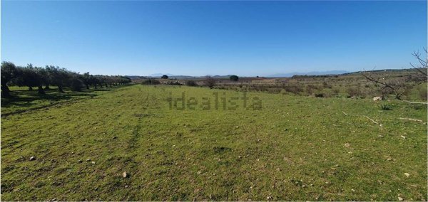 terreno edificabile in vendita a Serdiana